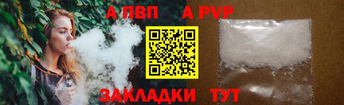 Alfa_PVP СК Верхняя Пышма