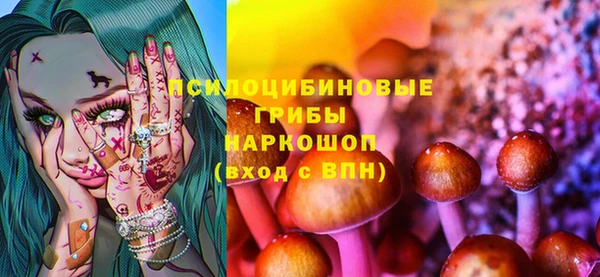 молекула духа Беломорск