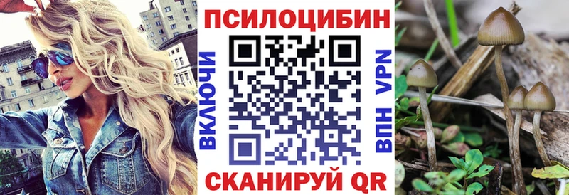 где можно купить   Верхняя Пышма  Галлюциногенные грибы мухоморы 