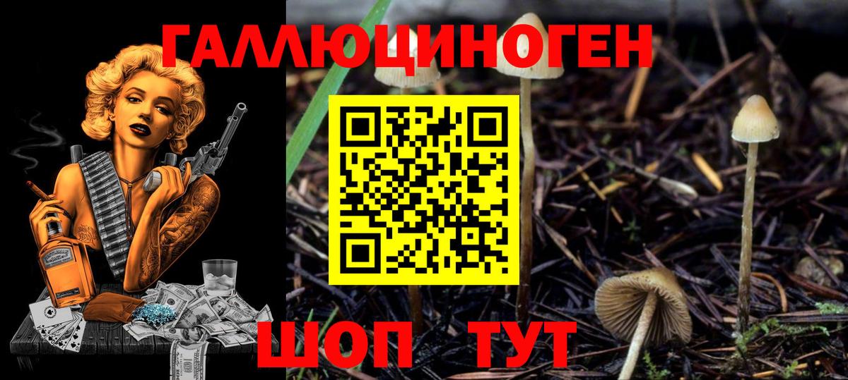 Псилоцибиновые грибы GOLDEN TEACHER Верхняя Пышма