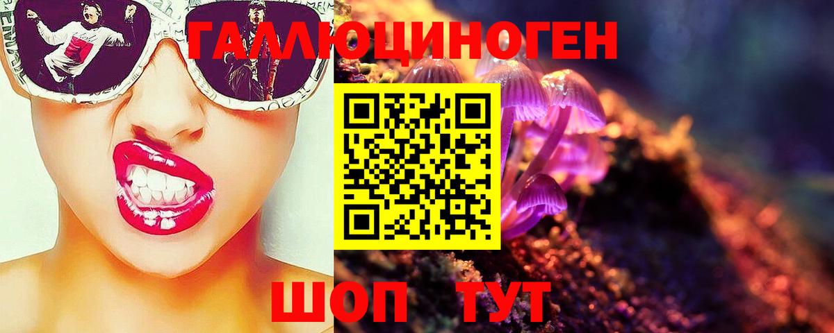 Верхняя Пышма  Псилоцибиновые грибы мицелий  где купить наркоту  Вход с VPN  Псилоцибиновые грибы Cubensis 